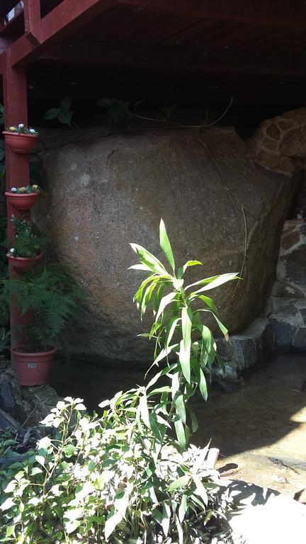 Pousada Mae Natureza Ilha Grande エクステリア 写真